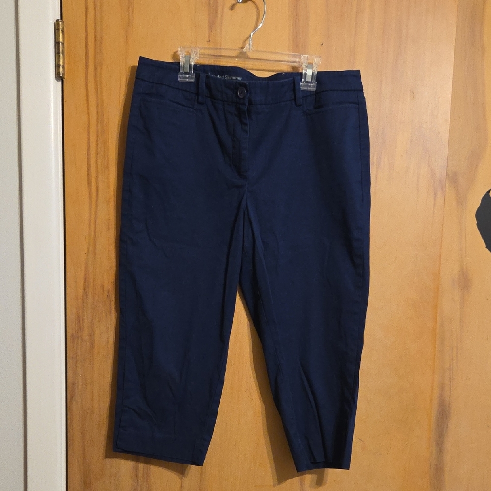 Talbots Perfect Skimmer Bermuda Shorts Size 10 Petite